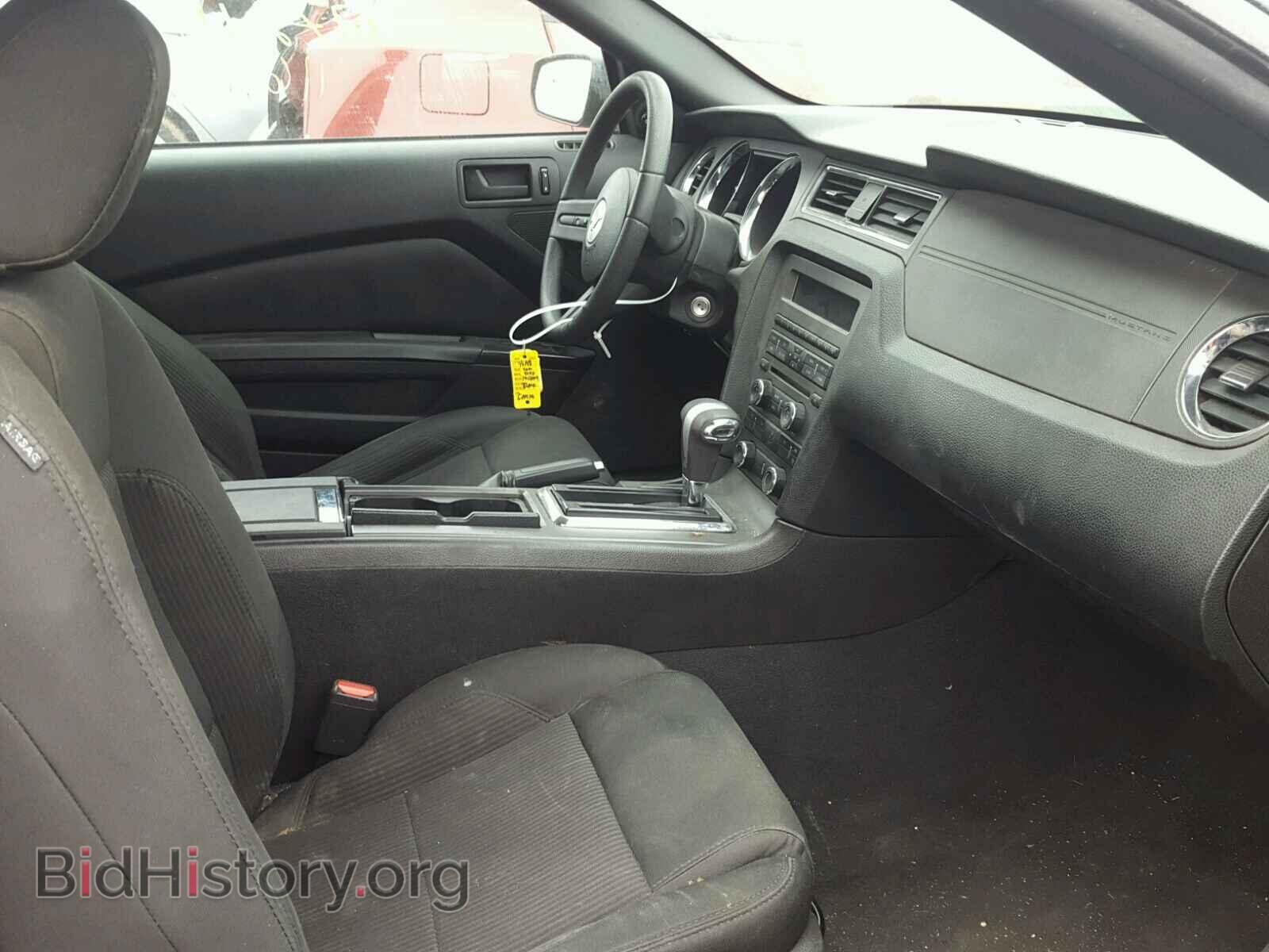 2010 FORD MUSTANG - VIN: 1ZVBP8FH3A5118531 - Фото 5