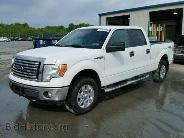 2011 FORD F150 - VIN: 1FTFW1EF5BFC09388 - Фото 2
