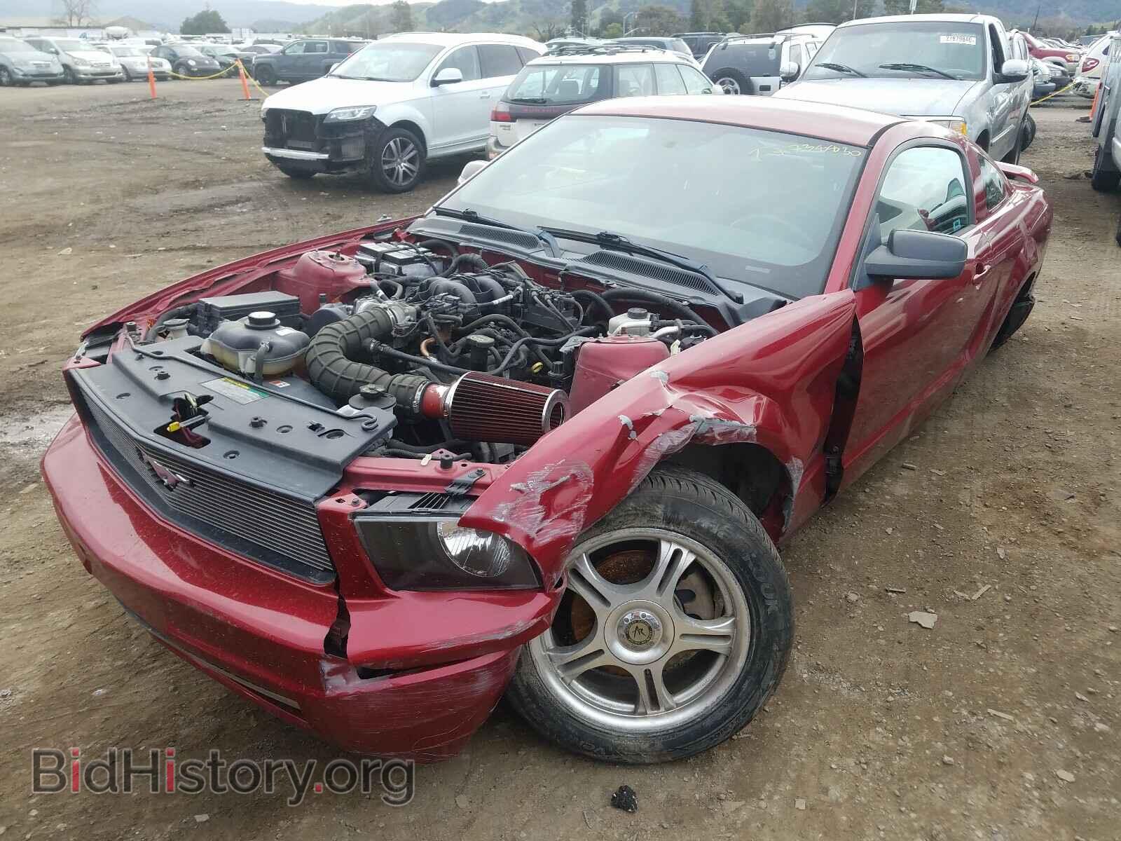 2005 FORD MUSTANG - VIN: 1ZVFT80N255134706 - Фото 2