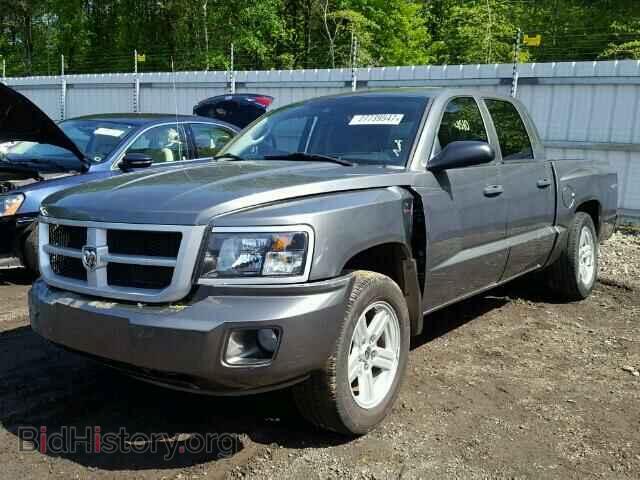 2011 DODGE DAKOTA - VIN: 1D7RW3GP6BS656176 - Фото 2