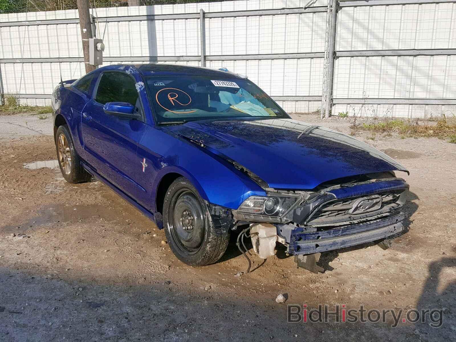 Photo 1ZVBP8AM6D5246349 - FORD MUSTANG 2013