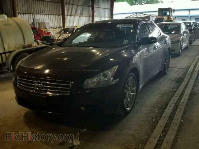 2011 NISSAN MAXIMA - VIN: 1N4AA5AP1BC839480 - Фото 2