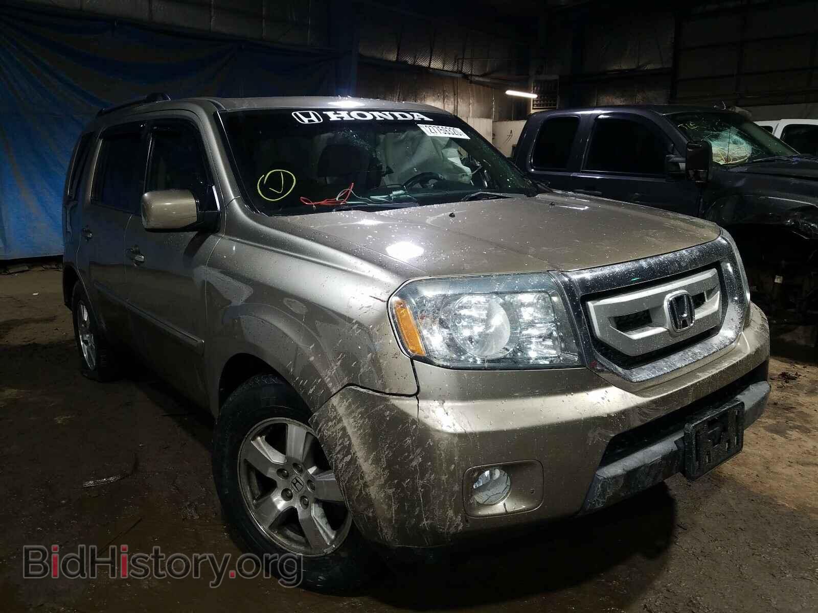 Фотография 5FNYF4H56BB026065 - HONDA PILOT 2011