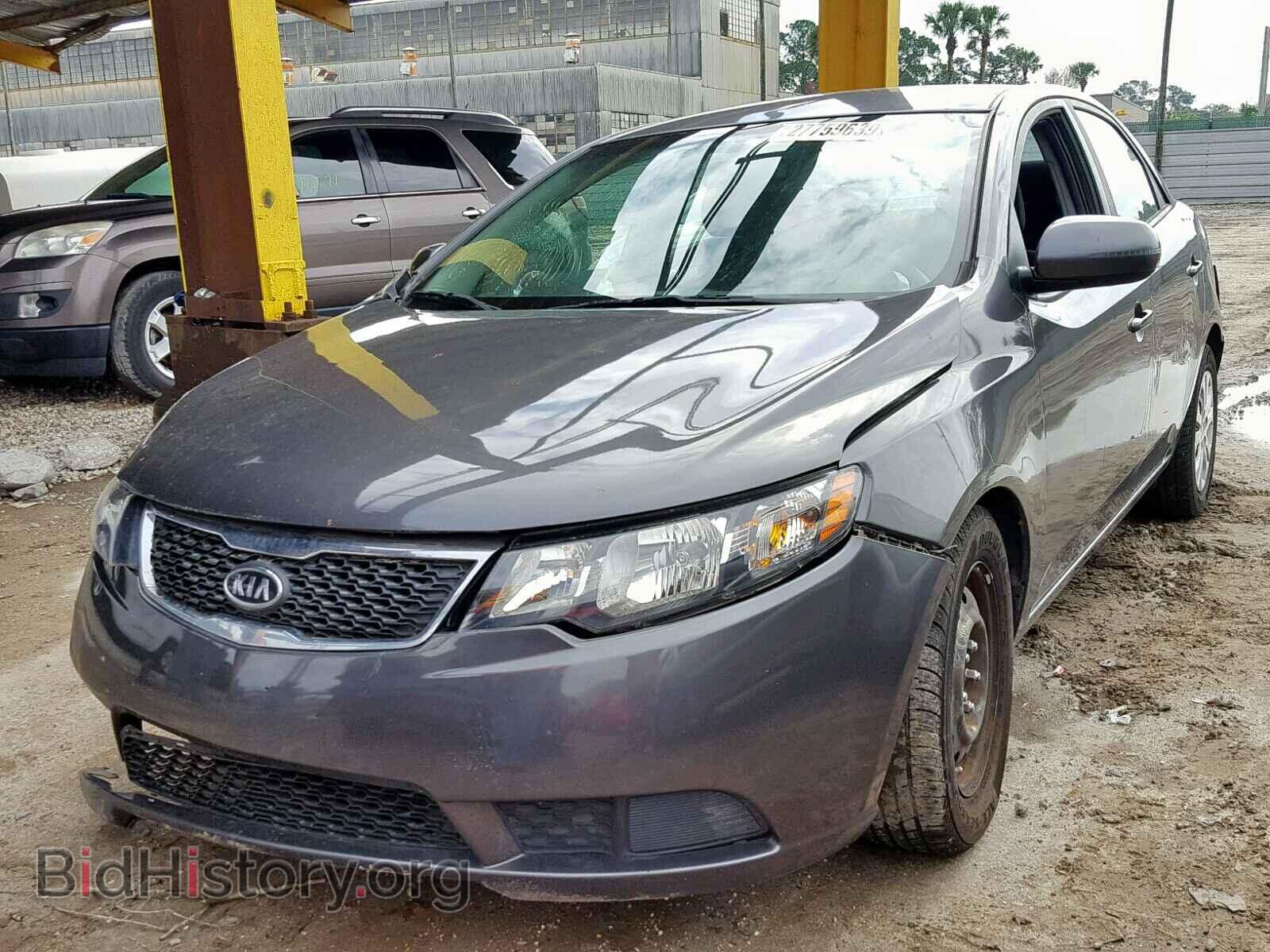 2013 KIA FORTE - VIN: KNAFU4A29D5726869 - Фото 2
