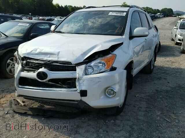 2011 TOYOTA RAV4 - VIN: 2T3YF4DV4BW057430 - Фото 2