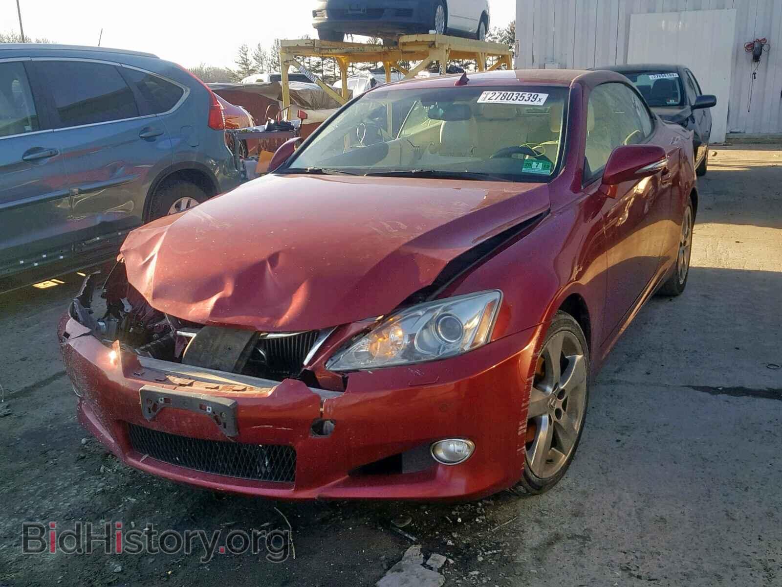 2010 LEXUS IS 250 - VIN: JTHFF2C29A2511678 - Фото 2