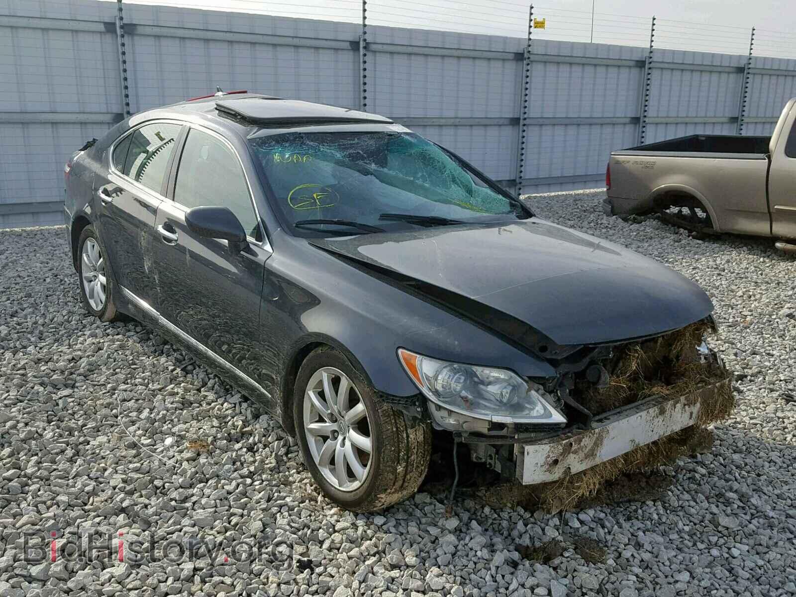 Фотография JTHBL46F185081073 - LEXUS LS460 2008