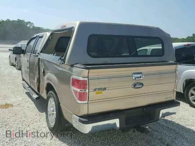 2011 FORD F150 - VIN: 1FTFX1CF8BFA24607 - Фото 3