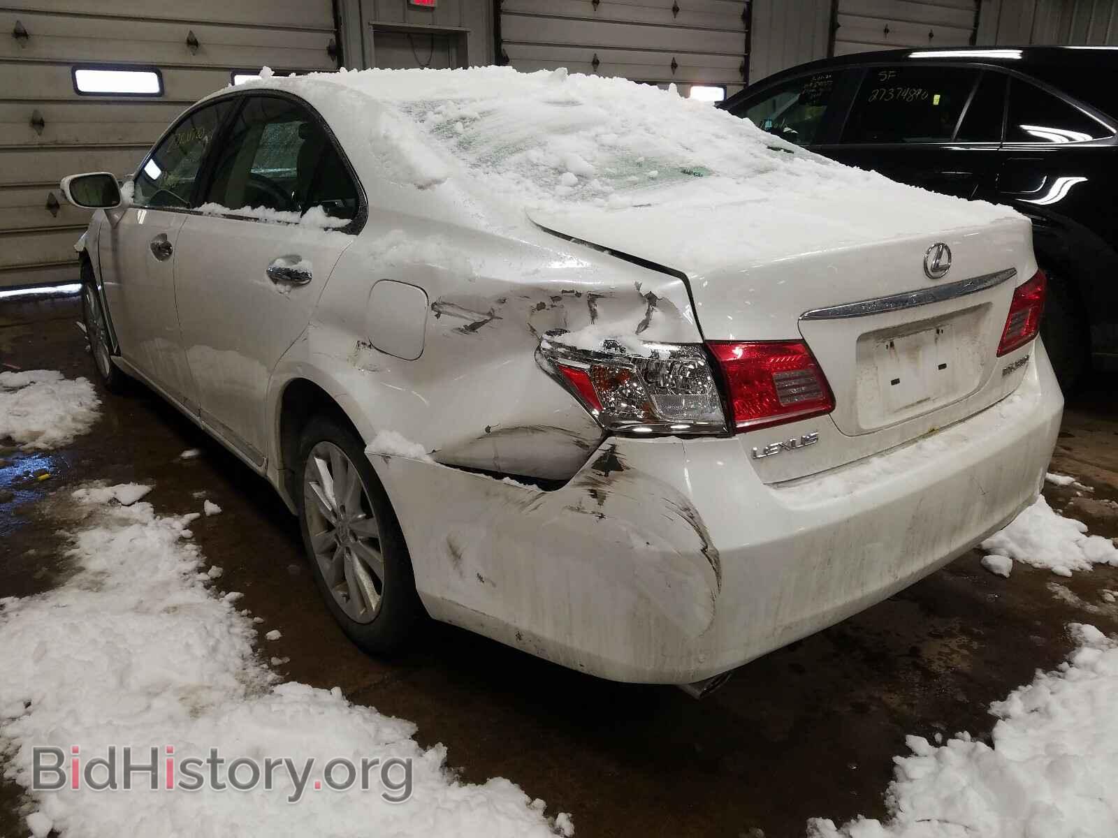 2010 LEXUS ES350 - VIN: JTHBK1EG9A2377381 - Фото 3