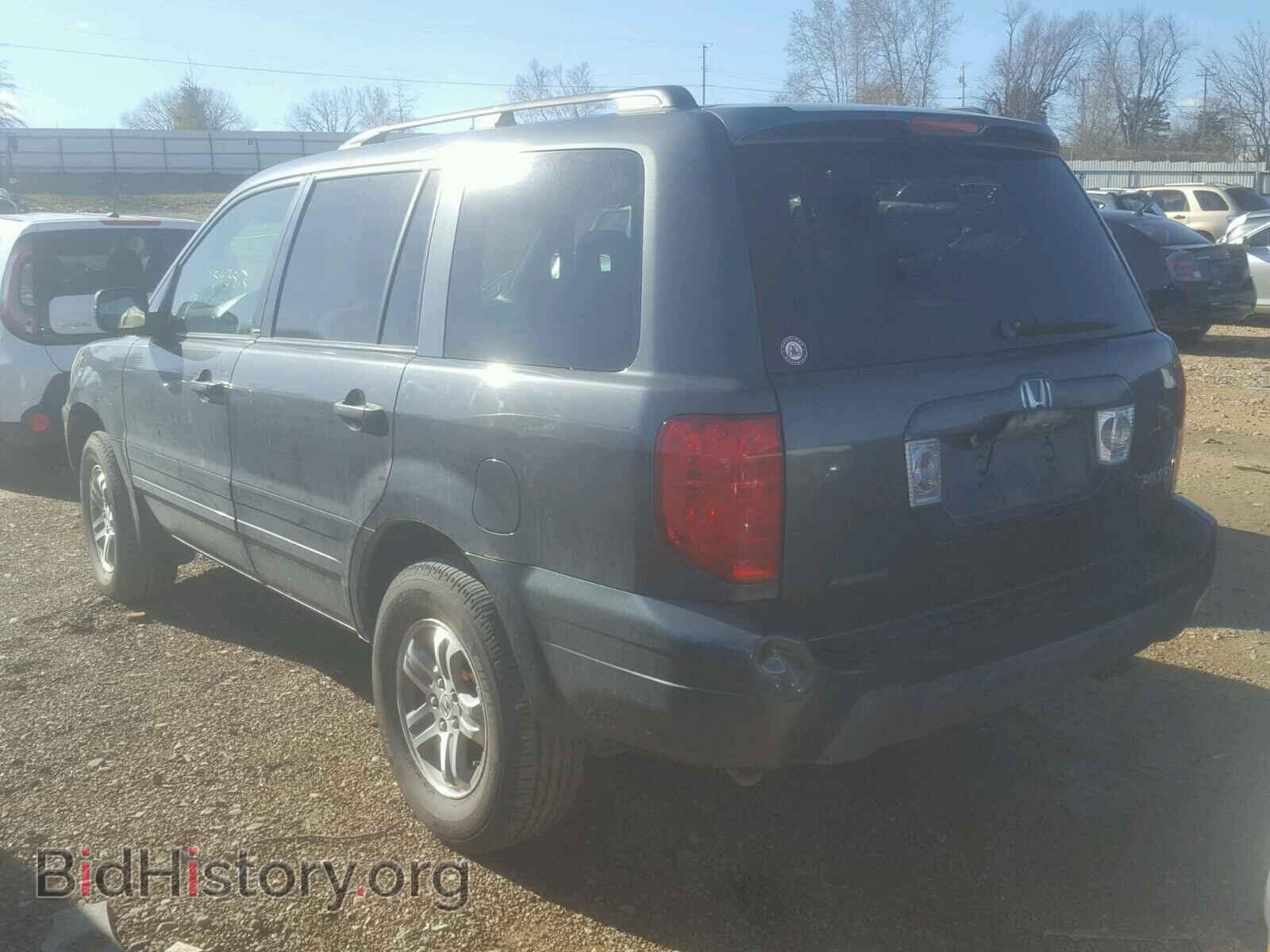 2005 HONDA PILOT - VIN: 2HKYF184X5H531540 - Фото 3