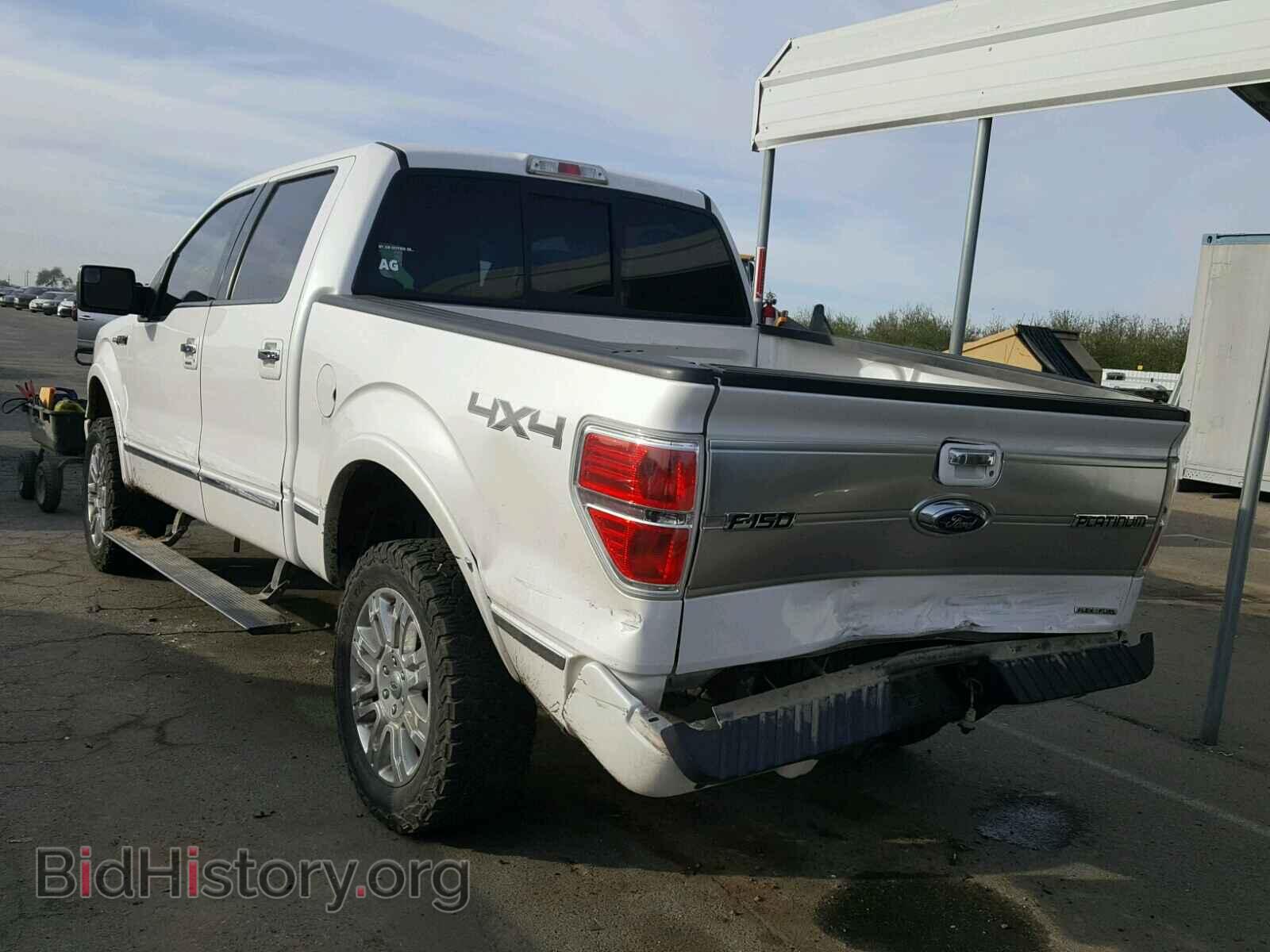 2011 FORD F150 - VIN: 1FTFW1EF9BFA43859 - Фото 3