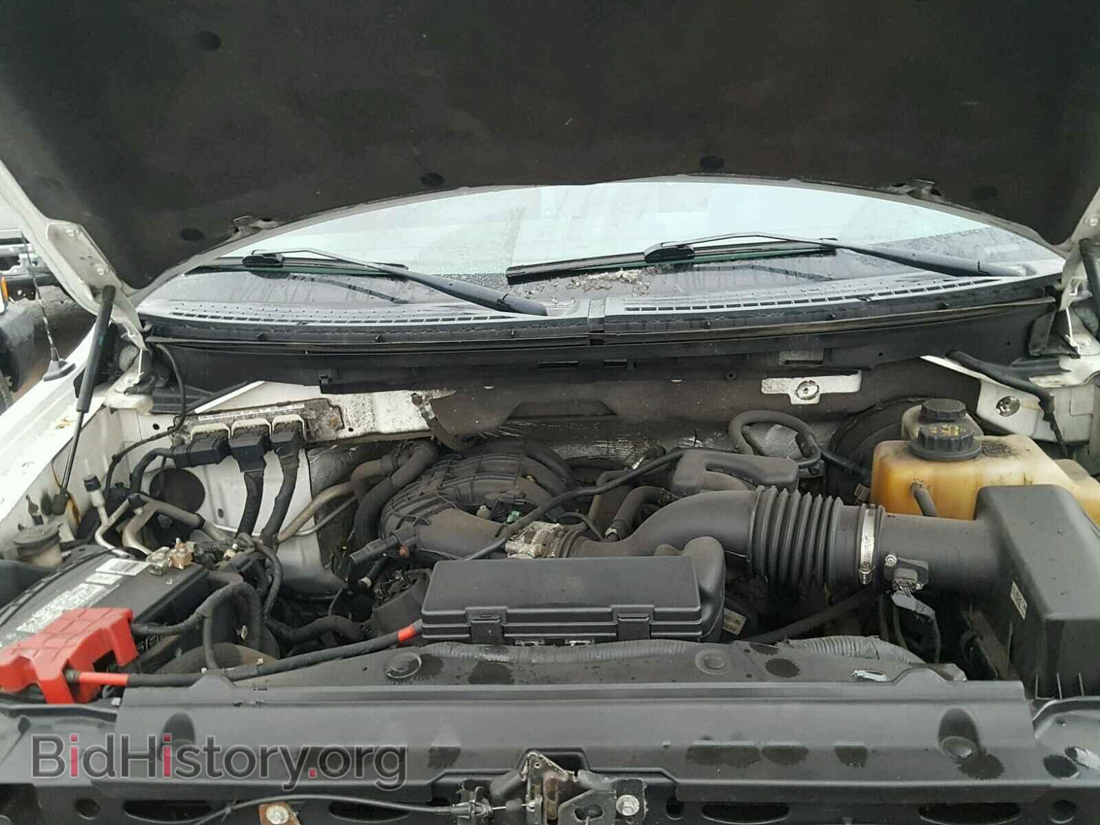 2013 FORD F150 - VIN: 1FTMF1CM8DFC58743 - Фото 7