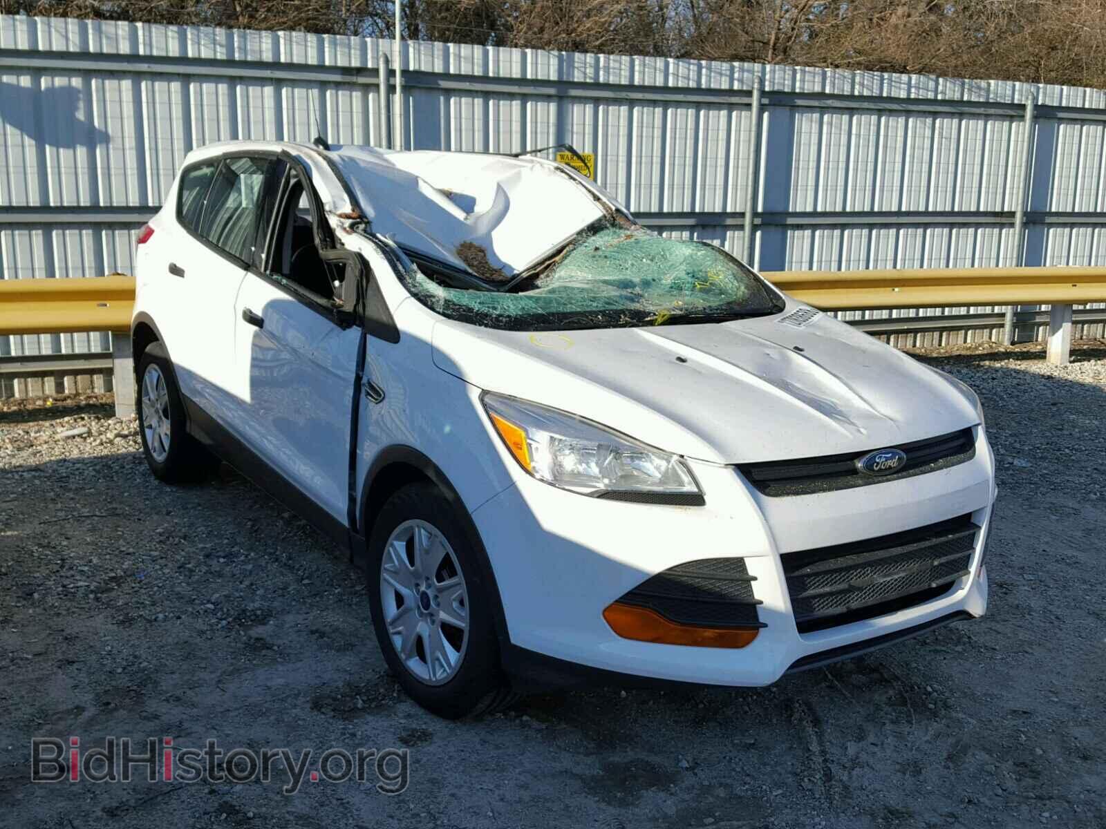 Photo 1FMCU0F75DUB19596 - FORD ESCAPE S 2013