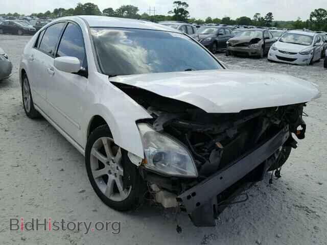Photo 1N4BA41E68C800924 - NISSAN MAXIMA 2008