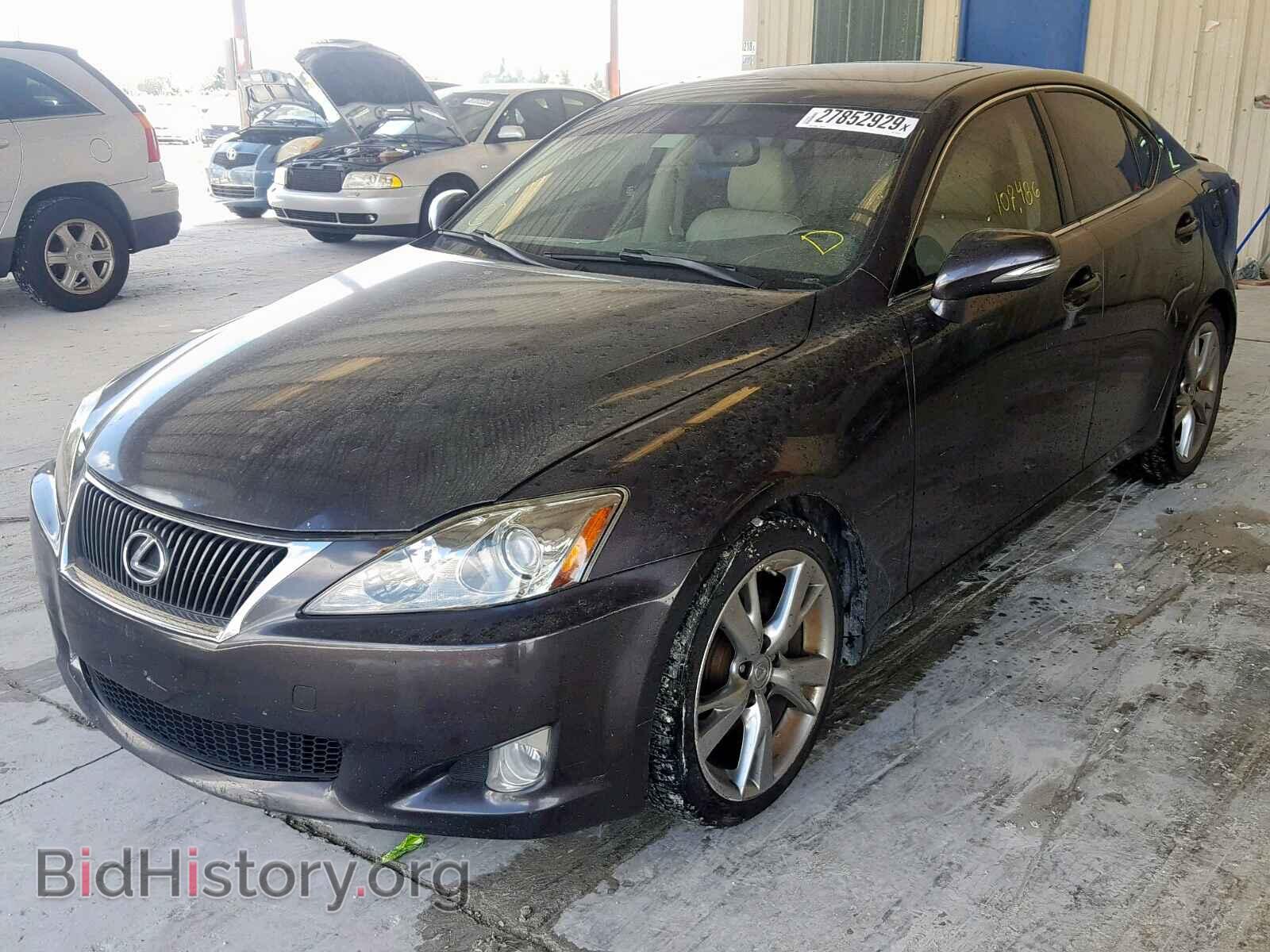 2010 LEXUS IS 250 - VIN: JTHBF5C28A5111254 - Фото 2