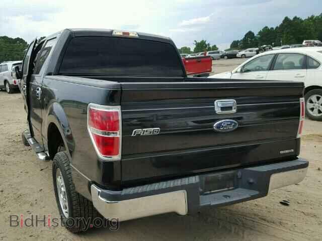 2013 FORD F150 - VIN: 1FTFW1CF7DKD10087 - Фото 3