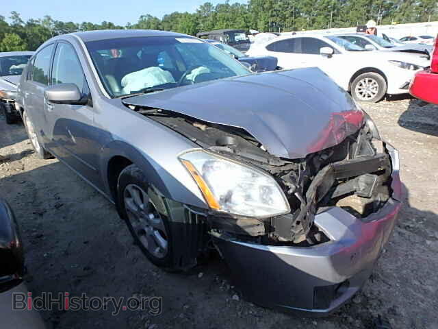Photo 1N4BA41E47C854706 - NISSAN MAXIMA 2007
