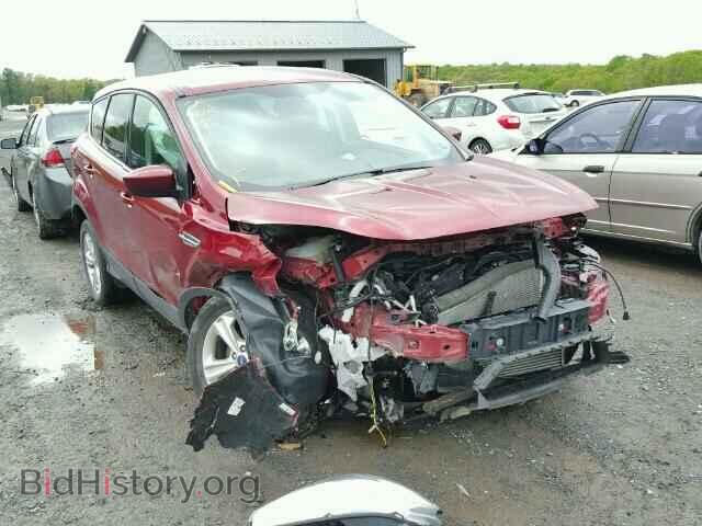 Фотография 1FMCU9GX8DUB59741 - FORD ESCAPE 2013