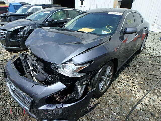 2009 NISSAN MAXIMA - VIN: 1N4AA51E19C841951 - Фото 2