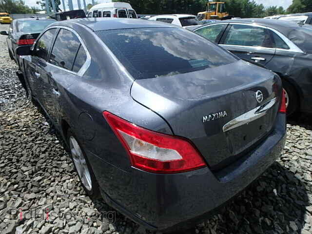 2009 NISSAN MAXIMA - VIN: 1N4AA51E19C841951 - Фото 3
