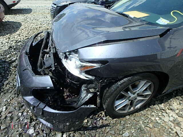 2009 NISSAN MAXIMA - VIN: 1N4AA51E19C841951 - Фото 10