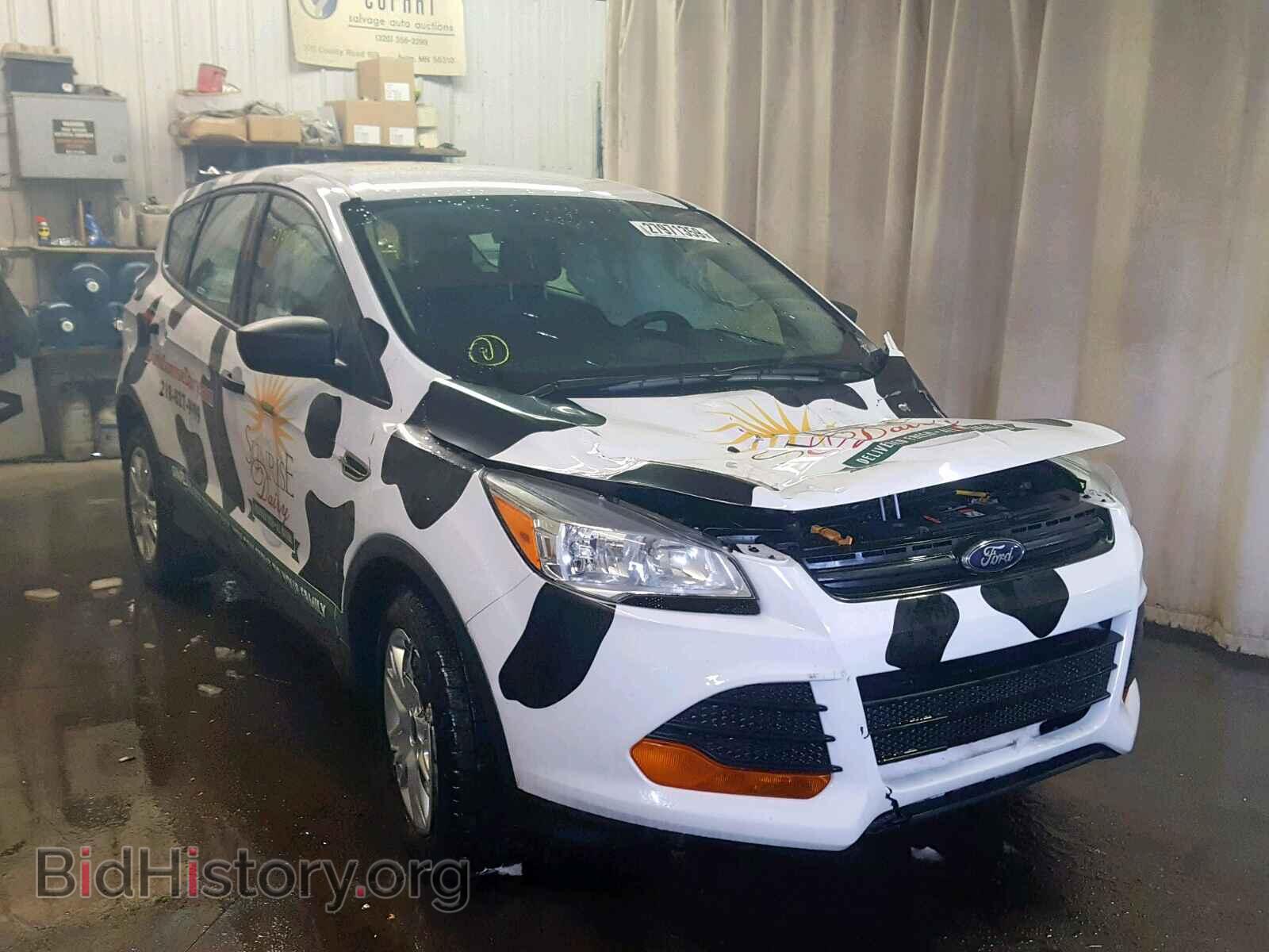 Photo 1FMCU0F79DUC86317 - FORD ESCAPE S 2013