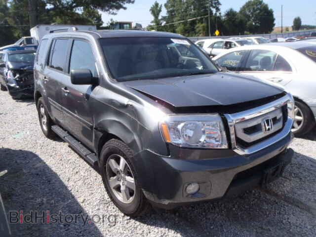 Фотография 5FNYF38539B010300 - HONDA PILOT 2009