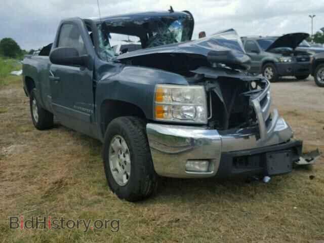 Фотография 1GCEC19C88Z329925 - CHEVROLET SILVERADO 2008