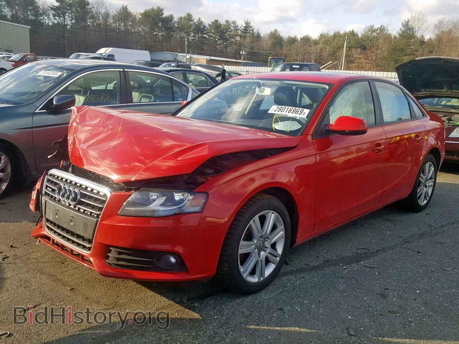 2010 AUDI A4 - VIN: WAUBFAFLXAN059184 - Фото 2