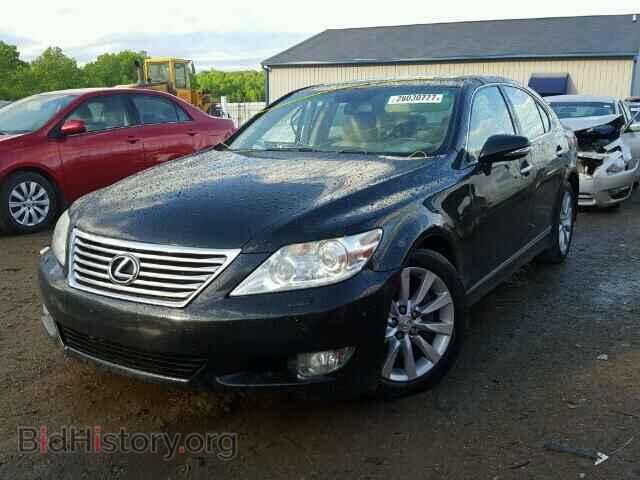 2010 LEXUS LS460 - VIN: JTHCL5EF8A5007201 - Photo 2