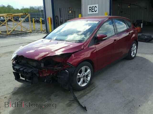2014 FORD FOCUS - VIN: 1FADP3K28EL202450 - Фото 2