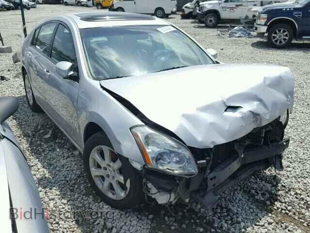 Photo 1N4BA41EX8C816463 - NISSAN MAXIMA 2008