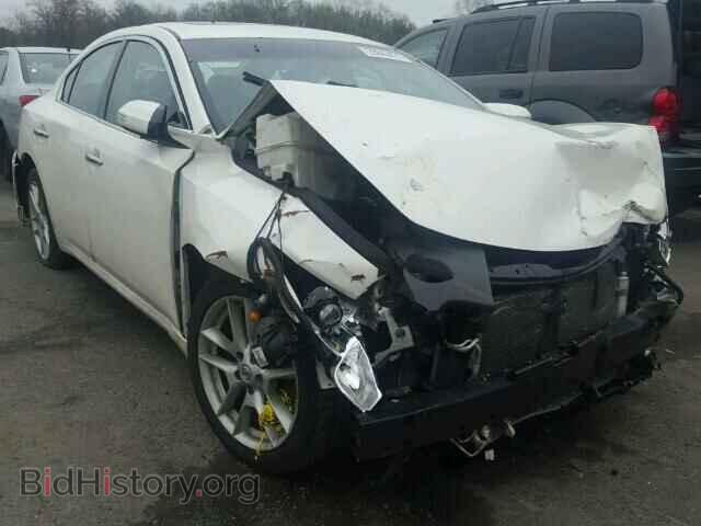 Фотография 1N4AA5AP0BC835906 - NISSAN MAXIMA 2011