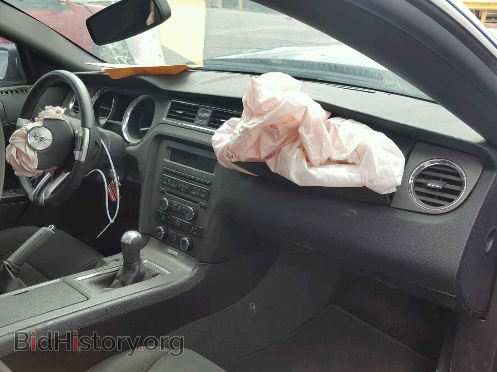 2014 FORD MUSTANG - VIN: 1ZVBP8CF4E5299017 - Фото 9