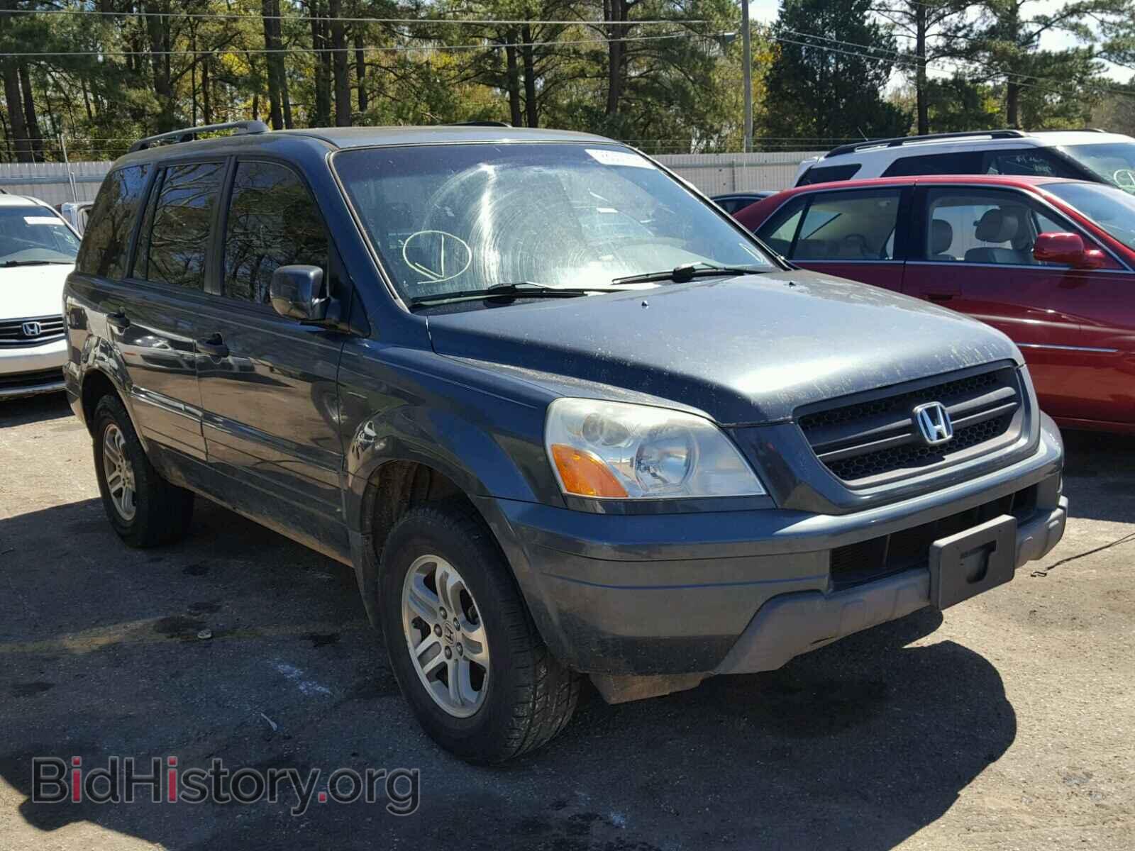 Photo 5FNYF18505B024377 - HONDA PILOT 2005