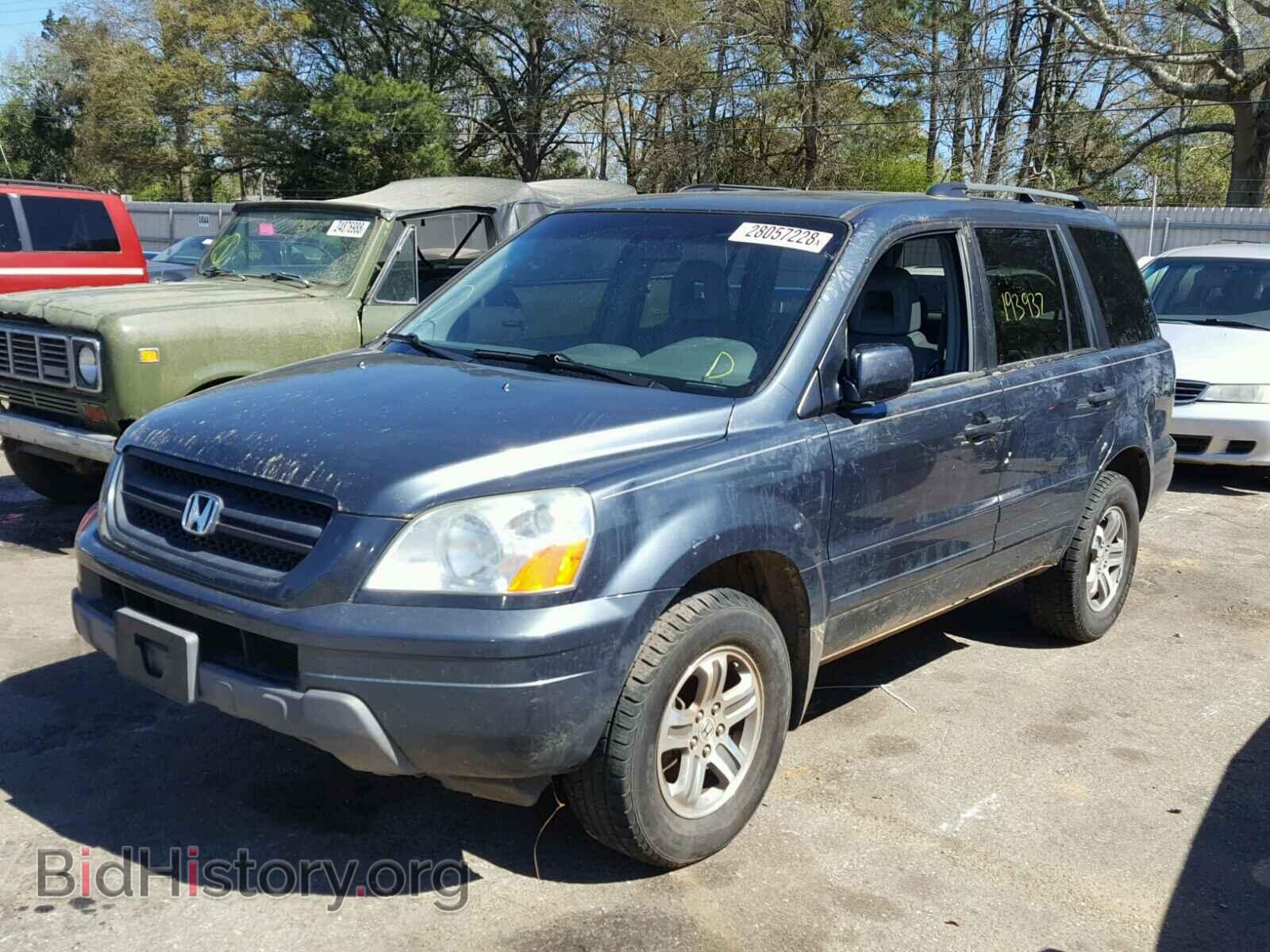2005 HONDA PILOT - VIN: 5FNYF18505B024377 - Фото 2