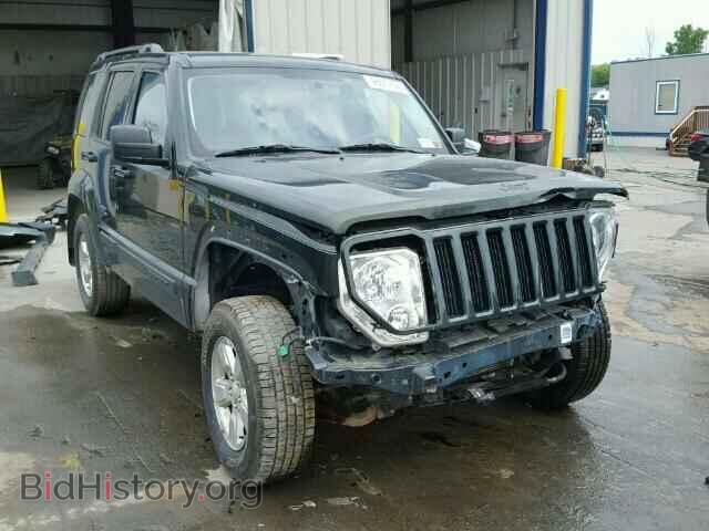 Фотография 1J4PN2GK9BW502471 - JEEP LIBERTY 2011