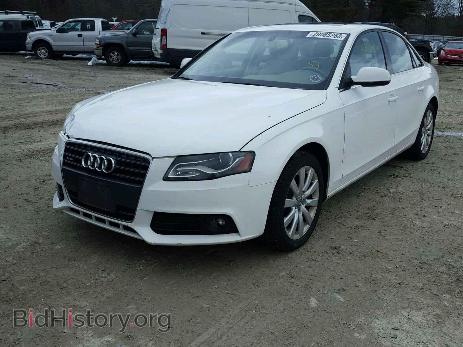 2011 AUDI A4 - VIN: WAUFFAFL1BN049484 - Фото 2