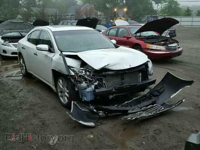 Фотография 1N4AA5AP8BC859662 - NISSAN MAXIMA 2011