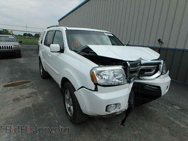 Фотография 5FNYF4H56BB085942 - HONDA PILOT 2011