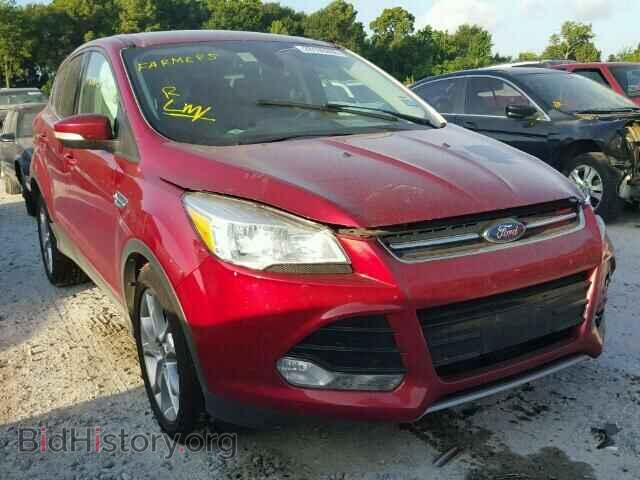 Фотография 1FMCU0HX7DUC73529 - FORD ESCAPE 2013
