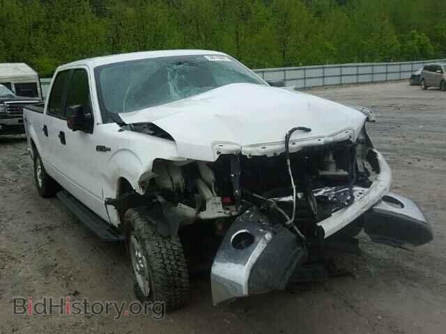 Фотография 1FTFW1EF5BFC07947 - FORD F150 2011