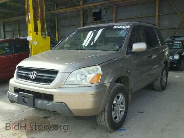 2005 HONDA PILOT - VIN: 2HKYF187X5H567464 - Фото 2