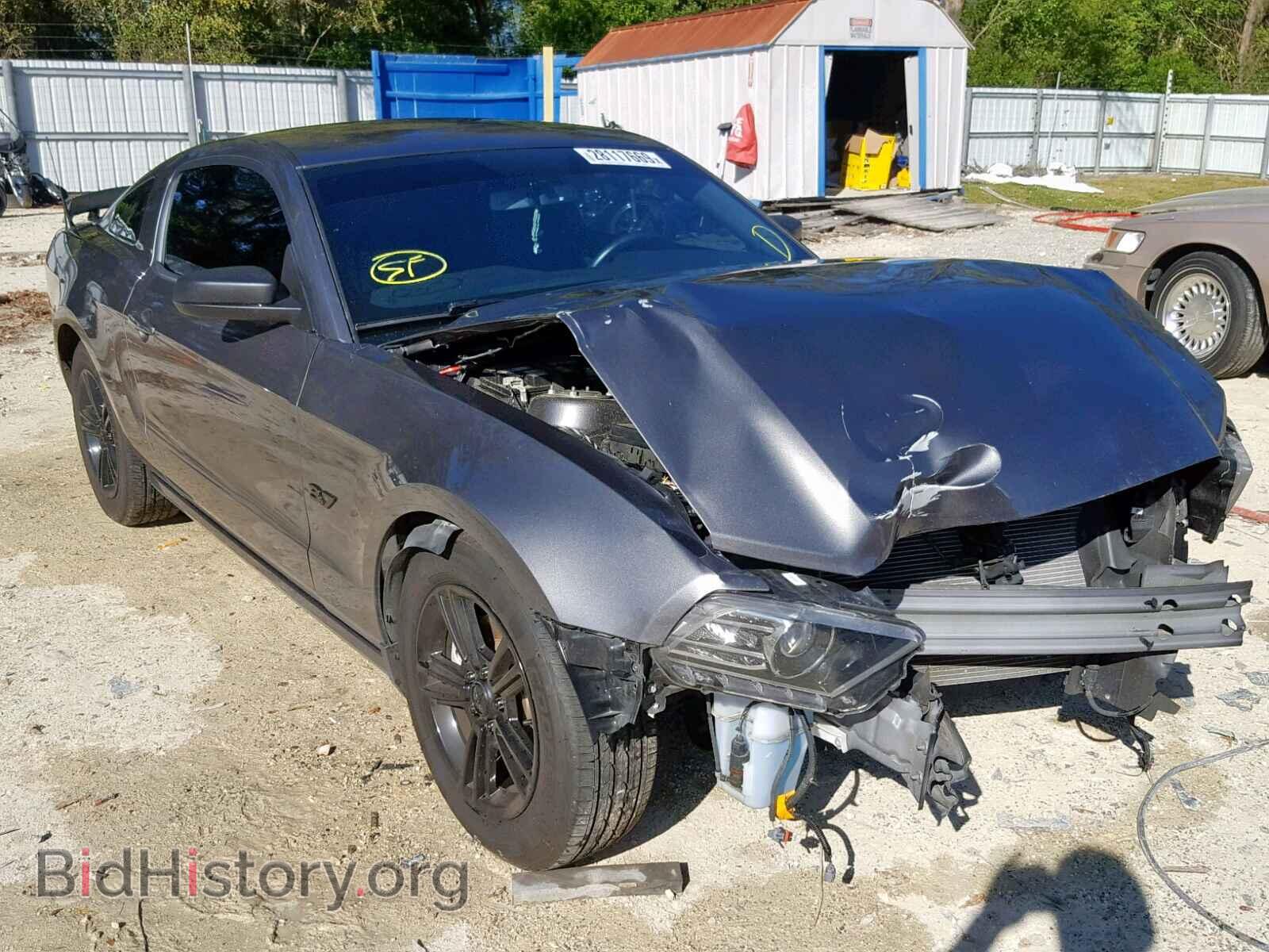Фотография 1ZVBP8AM0E5334136 - FORD MUSTANG 2014
