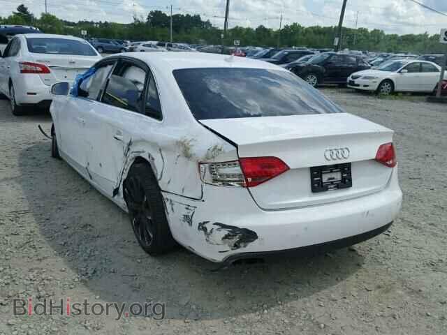 2010 AUDI A4 - VIN: WAUEFAFL5AN061373 - Фото 3