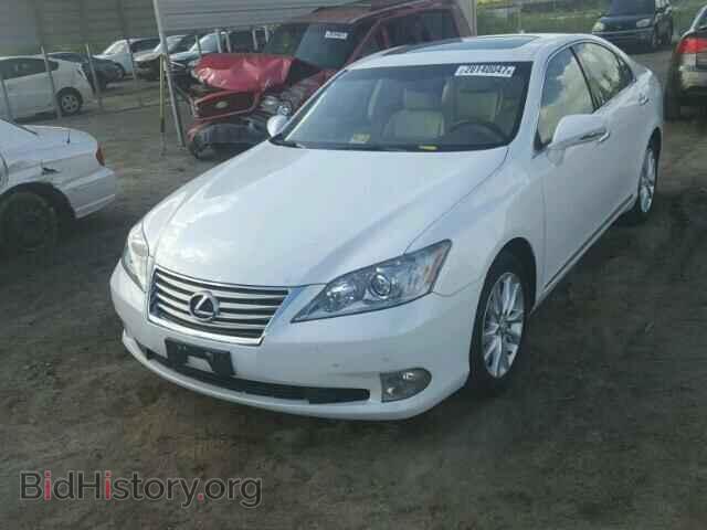 2011 LEXUS ES350 - VIN: JTHBK1EG6B2419782 - Photo 2