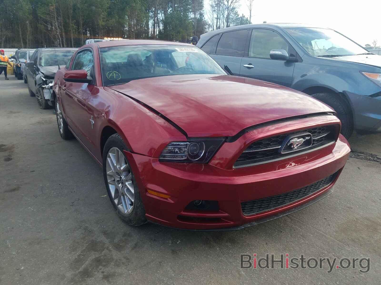 Photo 1ZVBP8AM9E5308294 - FORD MUSTANG 2014