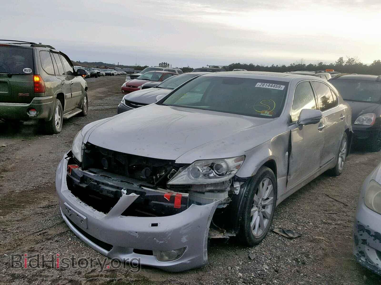 2010 LEXUS LS460 - VIN: JTHDL5EF2A5001821 - Фото 2