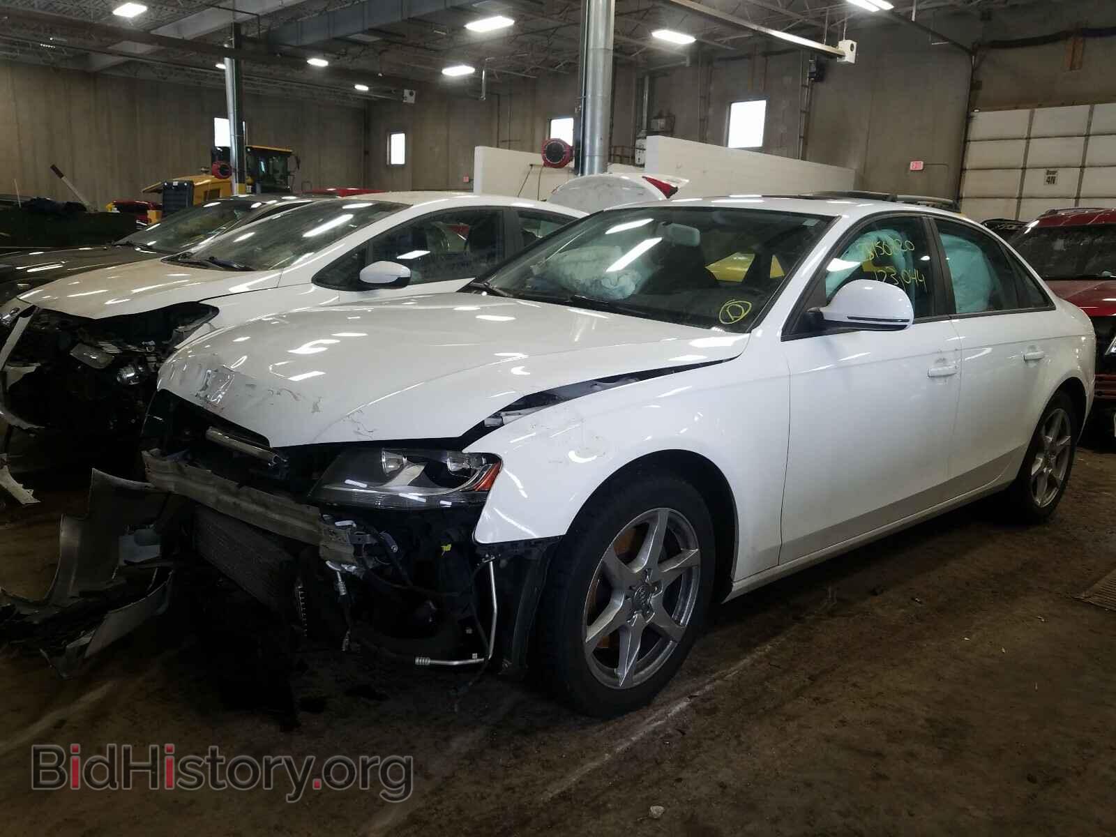 2009 AUDI A4 - VIN: WAULF78K39A149565 - Фото 2