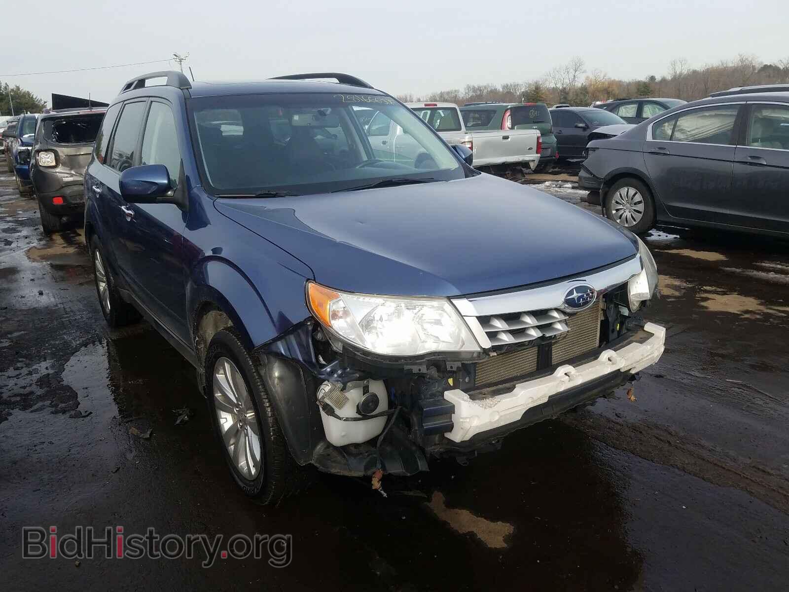 Photo JF2SHAEC5BH726338 - SUBARU FORESTER 2011